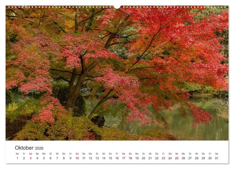 Produktbild: Japanischer Herbst und Laub (Wandkalender 2026 DIN A2 quer), CALVENDO Monatskalender