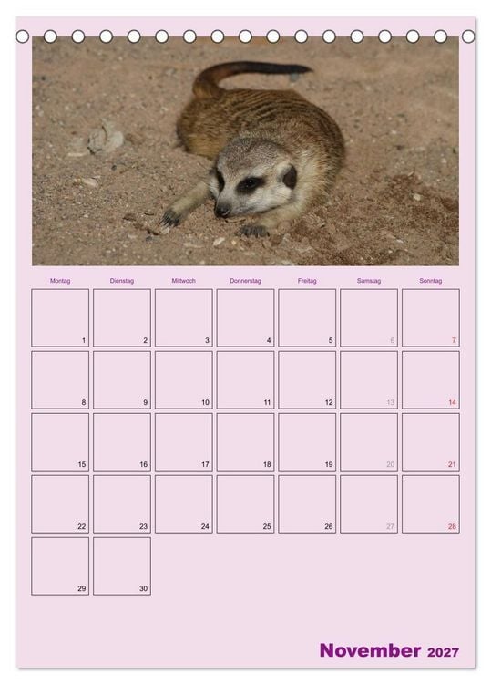 Produktbild: Erdm&auml;nnchen / Terminplaner (Tischkalender 2027 DIN A5 hoch), CALVENDO Monatskalender