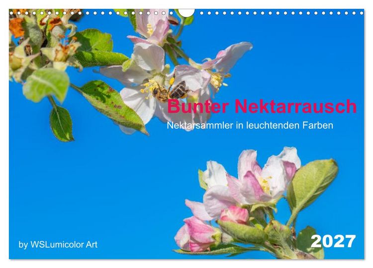 Produktbild: Bunter Nektarrausch - Nektarsammler in leuchtenden Farben (Wandkalender 2027 DIN A3 quer), CALVENDO Monatskalender