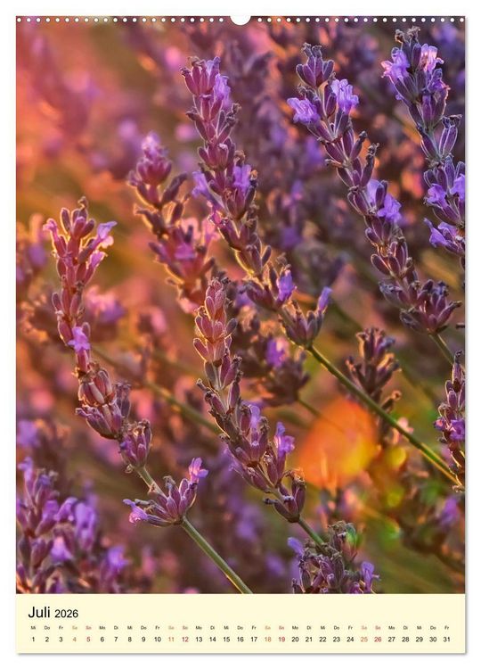 Produktbild: Provence Lavendel Paradies (Wandkalender 2026 DIN A2 hoch), CALVENDO Monatskalender