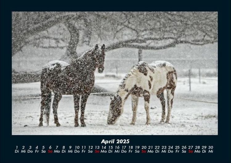 Produktbild: Winterzauber 2025 Fotokalender DIN A4