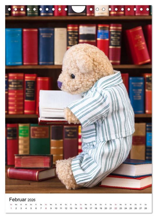Produktbild: Teddyb&auml;ren Abenteuer - Zu Hause und Unterwegs (Wandkalender 2026 DIN A4 hoch), CALVENDO Monatskalender