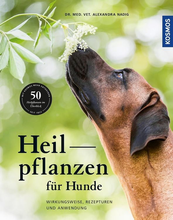 Produktbild: Heilpflanzen f&uuml;r Hunde