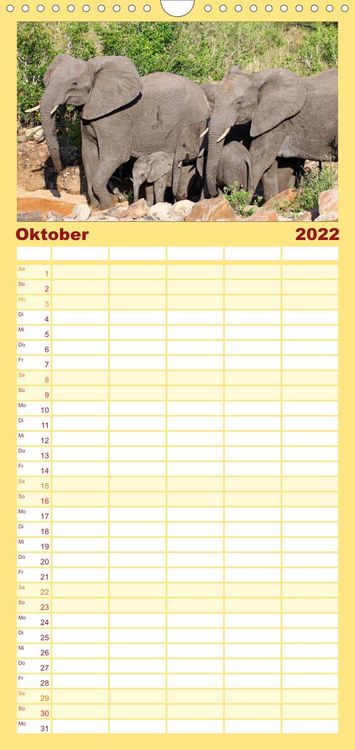 Produktbild: Familienplaner KR&Uuml;GER NATIONALPARK Afrikas Perle (Wandkalender 2022 , 21 cm x 45 cm, hoch)