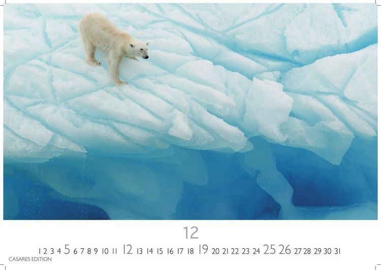 Produktbild: Arctic Landscape Kalender 2027 &ndash; Wandkalender | Fotokalender Naturkalender 24x35cm - 12 faszinierende Fotos von arktische Landschaften | Polarlandschaften