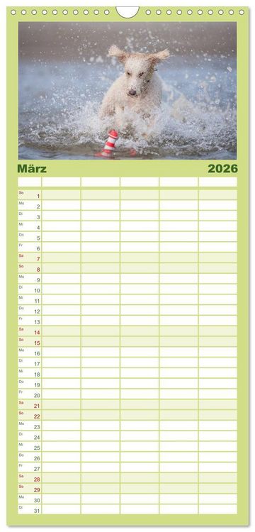 Produktbild: Familienplaner 2026 - POWERHUNDE 2026 mit 5 Spalten (Wandkalender, 21 x 45 cm) CALVENDO