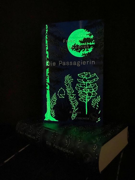 Produktbild: Die Passagierin
