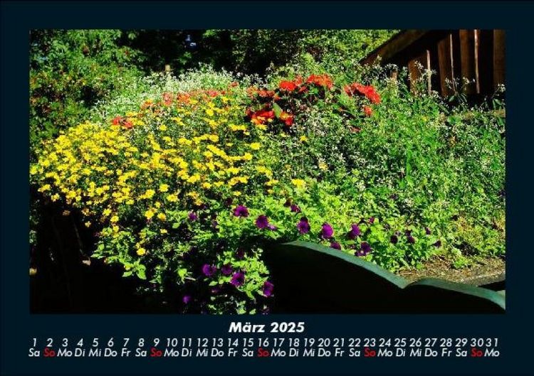 Produktbild: Blumenkalender 2025 Fotokalender DIN A5