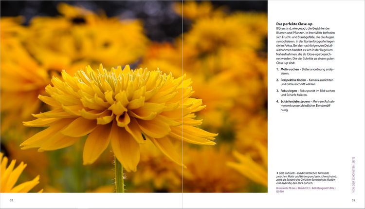 Produktbild: Garten-Shooting