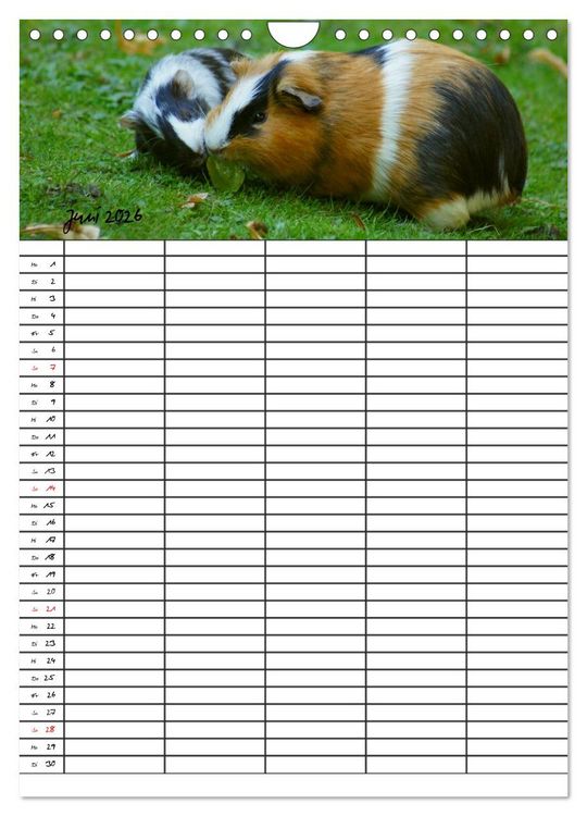 Produktbild: Meerschweinchen und Kaninchen Familienplaner (Wandkalender 2026 DIN A4 hoch), CALVENDO Monatskalender