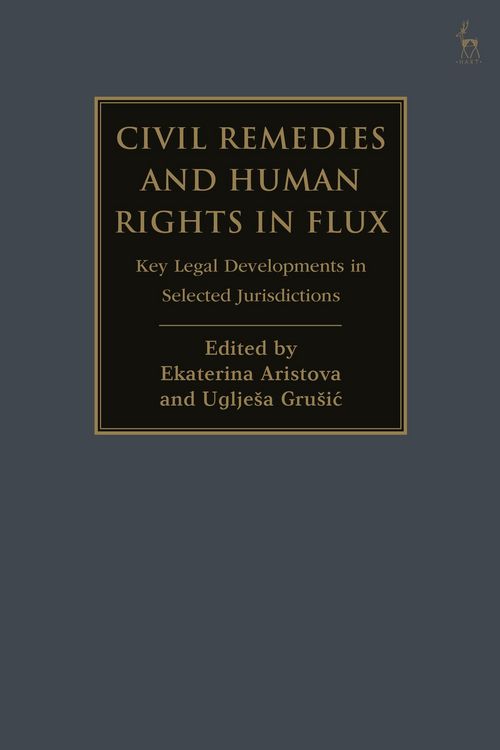 Produktbild: Civil Remedies and Human Rights in Flux