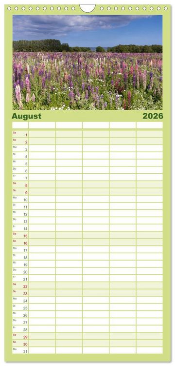 Produktbild: Familienplaner 2026 - Bornholm Juwel der Ostsee mit 5 Spalten (Wandkalender, 21 x 45 cm) CALVENDO