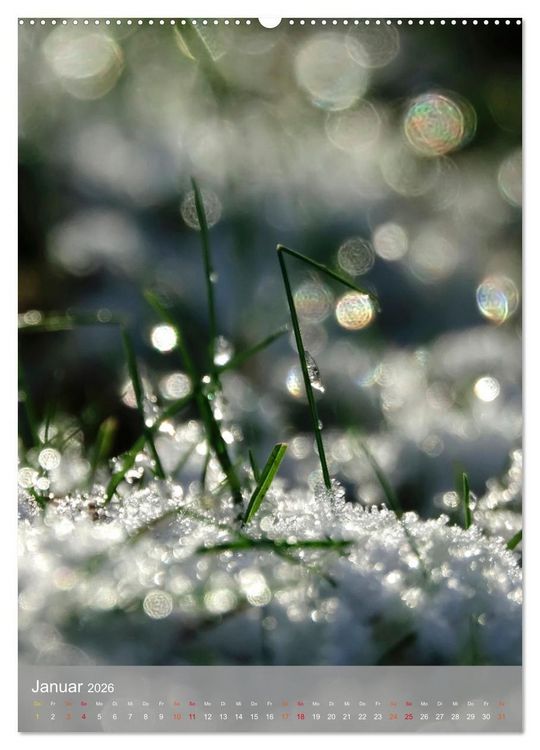 Produktbild: Mit Bokeh-Fotografie durch das Jahr (Wandkalender 2026 DIN A2 hoch), CALVENDO Monatskalender