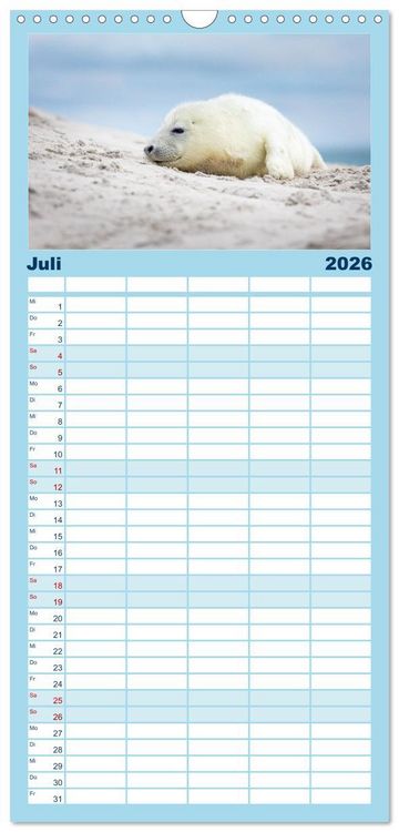 Produktbild: Familienplaner 2026 - Junge Kegelrobben mit 5 Spalten (Wandkalender, 21 x 45 cm) CALVENDO