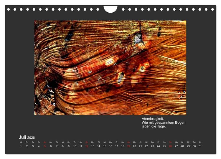 Produktbild: MAGIE HOLZ 2026 (Wandkalender 2026 DIN A4 quer), CALVENDO Monatskalender