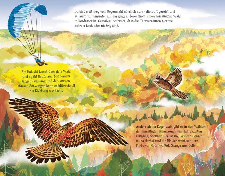 Produktbild: Von der Wurzel bis zum Wipfel