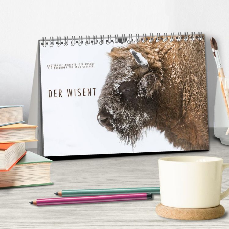 Produktbild: Emotionale Momente: Der Wisent. (Tischkalender 2026 DIN A5 quer), CALVENDO Monatskalender