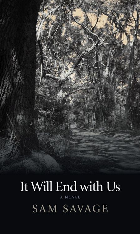 Produktbild: It Will End with Us
