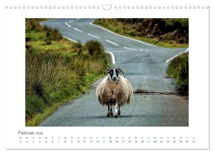 Produktbild: Street Moments (Wandkalender 2026 DIN A3 quer), CALVENDO Monatskalender