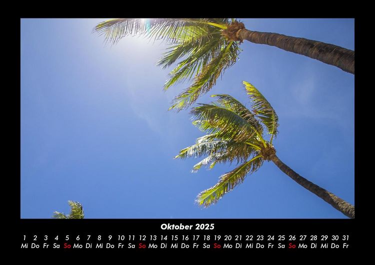 Produktbild: Palmentraum 2025 Fotokalender DIN A3