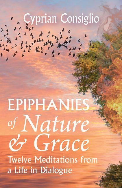 Produktbild: Epiphanies of Nature and Grace: Twelve Meditations from a Life in Dialogue