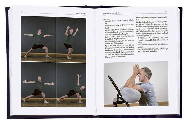 Yoga-Therapie in der Praxis