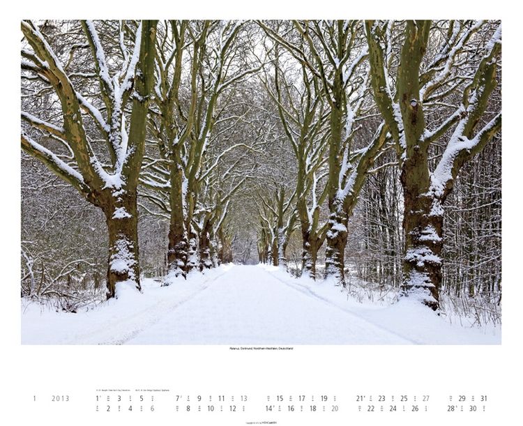 Produktbild: Alleen 2013