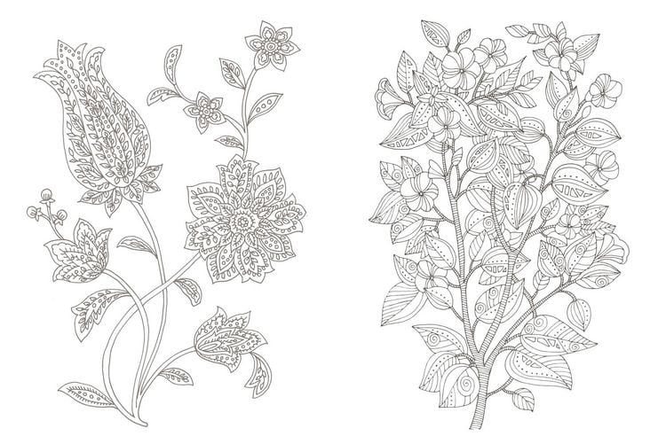 Produktbild: Colorful Mandala &ndash; Botanischer Garten