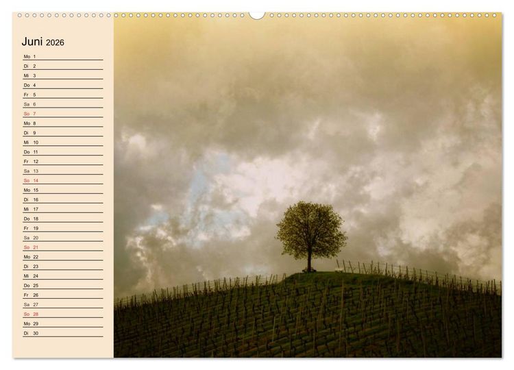 Produktbild: Weinanbau. Von der Traube zum Wein (Wandkalender 2026 DIN A2 quer), CALVENDO Monatskalender
