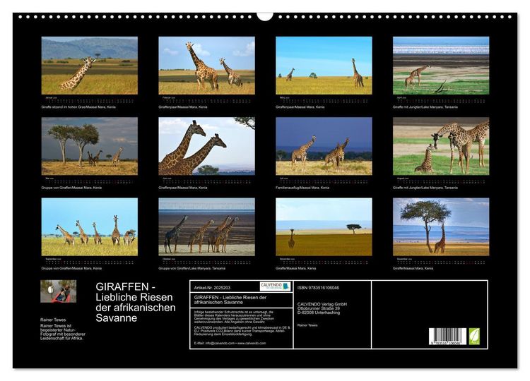 Produktbild: GIRAFFEN - Liebliche Riesen der afrikanischen Savanne (Wandkalender 2026 DIN A2 quer), CALVENDO Monatskalender