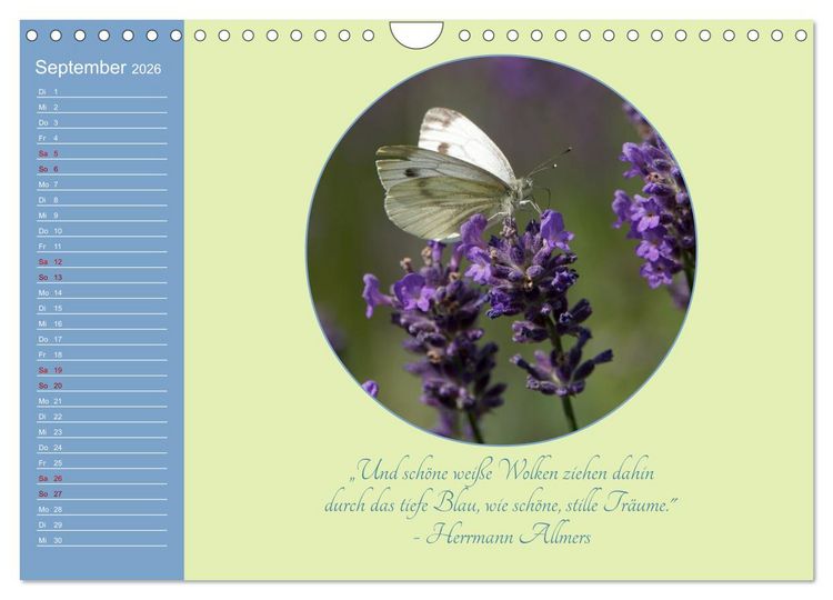 Produktbild: Flora in royalem Blau (Wandkalender 2026 DIN A4 quer), CALVENDO Monatskalender
