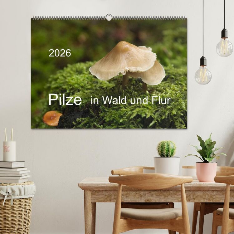 Produktbild: Pilze in Wald und Flur (Wandkalender 2026 DIN A2 quer), CALVENDO Monatskalender