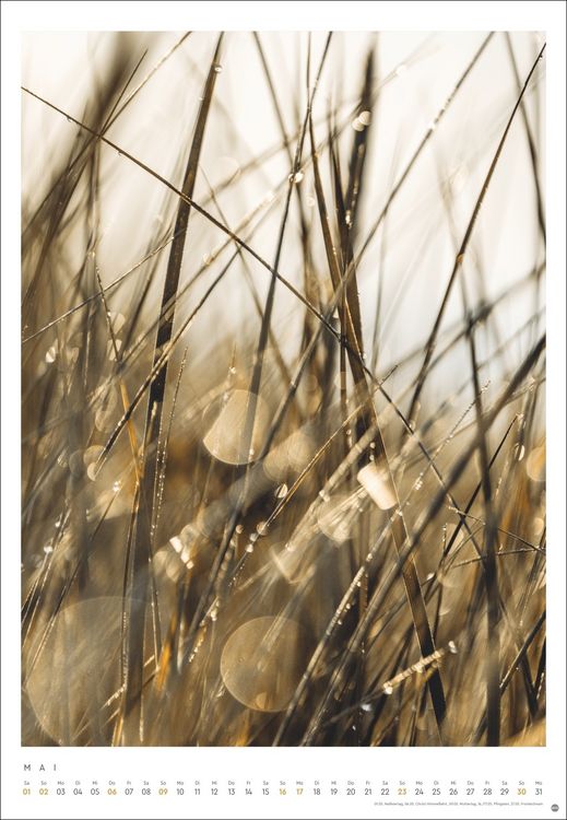 Produktbild: Mareike B&ouml;hmer: pure & simple Kalender 2027