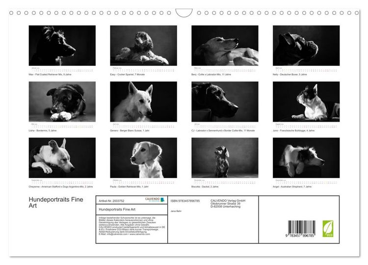 Produktbild: Hundeportraits Fine Art (Wandkalender 2026 DIN A3 quer), CALVENDO Monatskalender