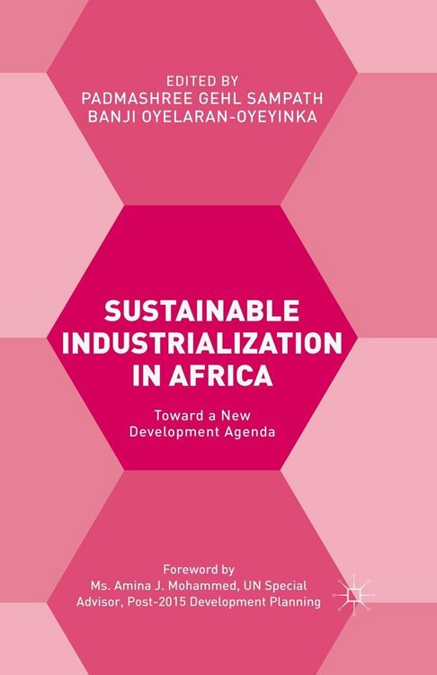 Produktbild: Sustainable Industrialization in Africa