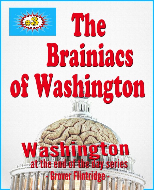 Produktbild: Brainiacs of Washington (Washington At The End of the Day, #3)