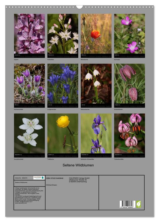 Produktbild: Seltene Wildblumen (Wandkalender 2026 DIN A2 hoch), CALVENDO Monatskalender
