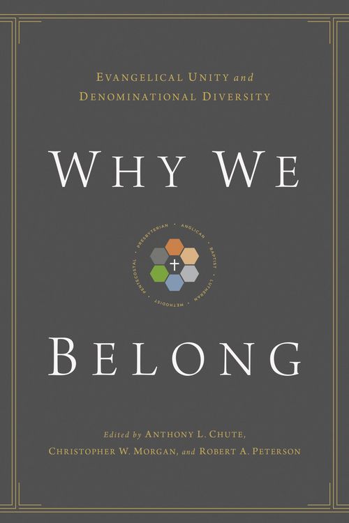 Produktbild: Why We Belong