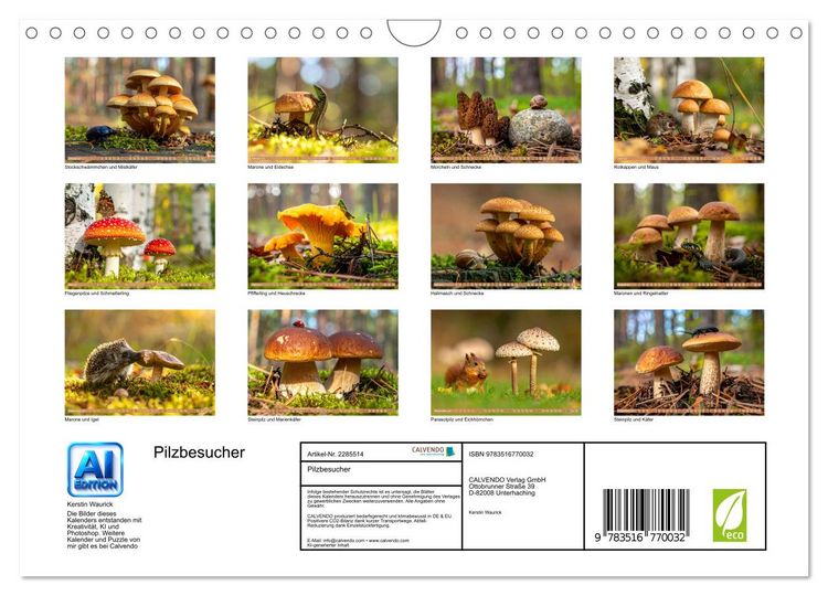 Produktbild: Pilzbesucher (Wandkalender 2027 DIN A4 quer), CALVENDO Monatskalender