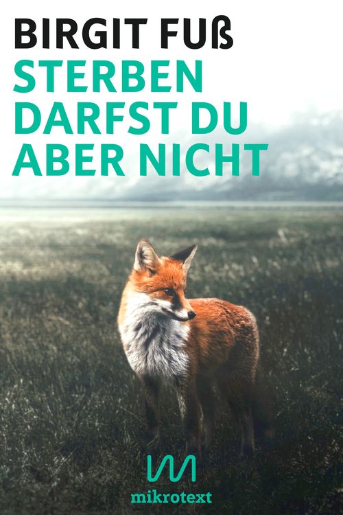 Produktbild: Sterben darfst du aber nicht