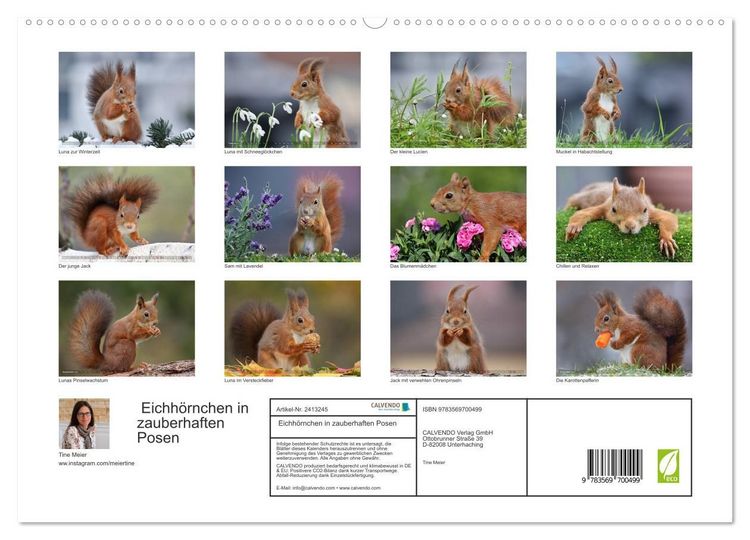 Produktbild: Eichh&ouml;rnchen in zauberhaften Posen (hochwertiger Premium Wandkalender 2027 DIN A2 quer), Kunstdruck in Hochglanz