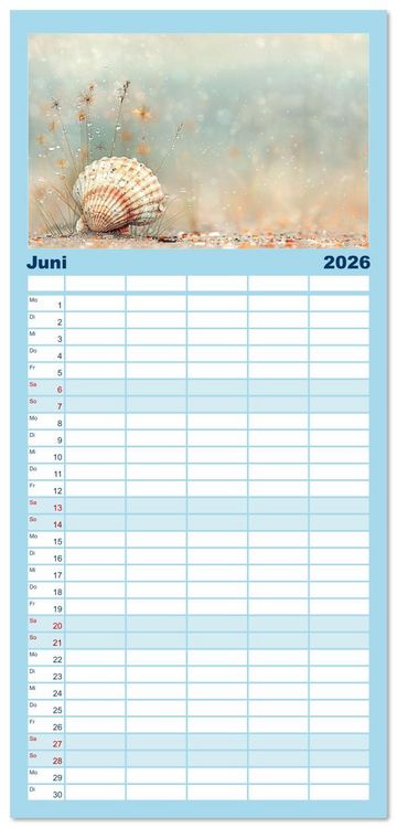 Produktbild: Familienplaner 2026 - Sandgefl&uuml;ster und Muschelzauber mit 5 Spalten (Wandkalender, 21 x 45 cm) CALVENDO