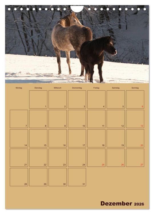 Produktbild: Pferde Gute Freunde (Wandkalender 2026 DIN A4 hoch), CALVENDO Monatskalender
