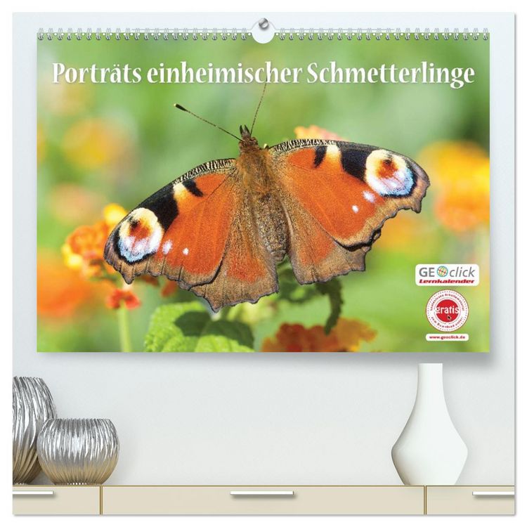 Produktbild: GEOclick Lernkalender: Portr&auml;ts einheimischer Schmetterlinge (hochwertiger Premium Wandkalender 2026 DIN A2 quer), Kunstdruck in Hochglanz
