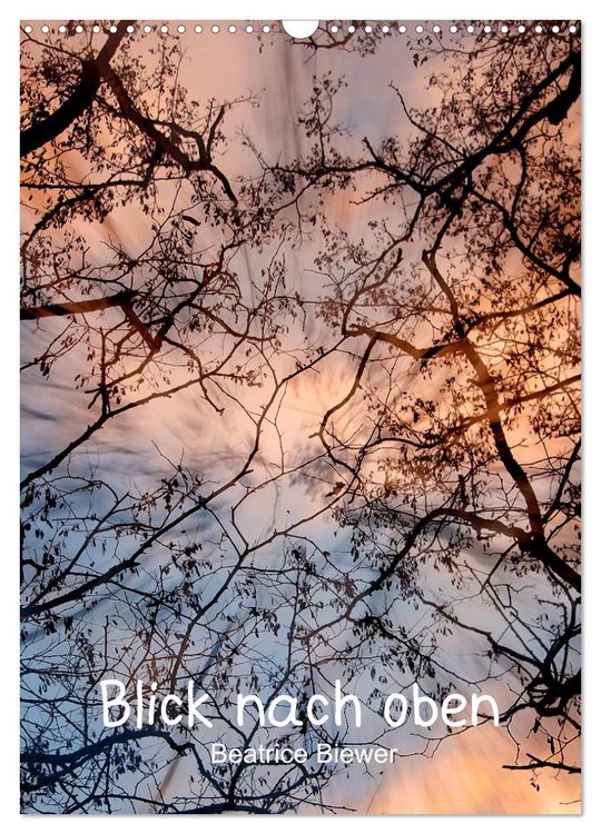 Produktbild: Blick nach oben (Wandkalender 2026 DIN A3 hoch), CALVENDO Monatskalender
