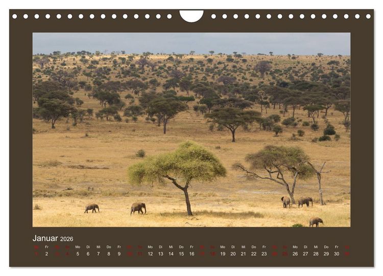 Produktbild: Tansania - Mensch, Tier und Landschaft (Wandkalender 2026 DIN A4 quer), CALVENDO Monatskalender