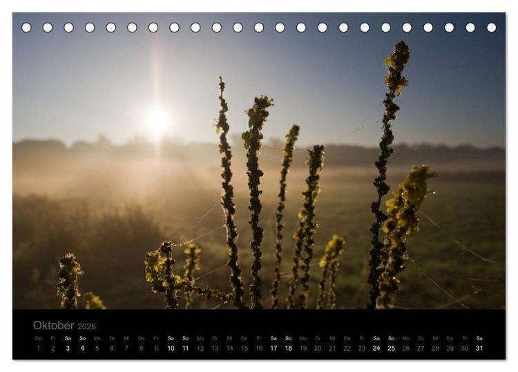 Produktbild: Natur im Detail (Tischkalender 2026 DIN A5 quer), CALVENDO Monatskalender