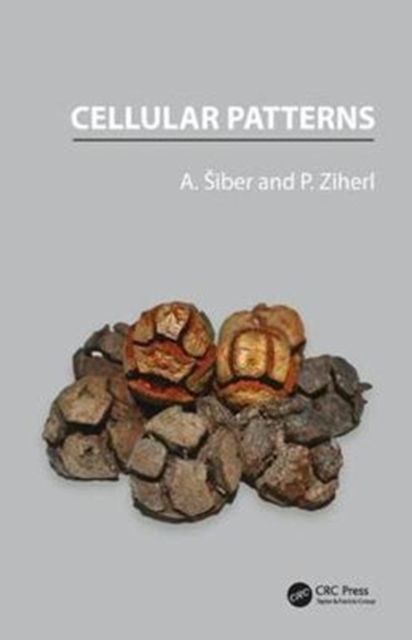 Produktbild: Siber, A: Cellular Patterns