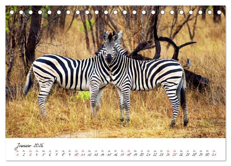 Produktbild: Namibia - Magie der Weite (Tischkalender 2026 DIN A5 quer), CALVENDO Monatskalender