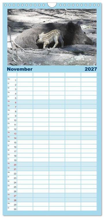 Produktbild: Familienplaner 2027 - Tierische Schweinerei mit 5 Spalten (Wandkalender, 21 x 45 cm) CALVENDO
